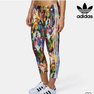 adidas | Pants \u0026 Jumpsuits | Adidas Tropical Bird Jogger Pants Passaredo |  Poshmark